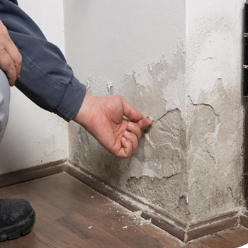 Damp Proofing